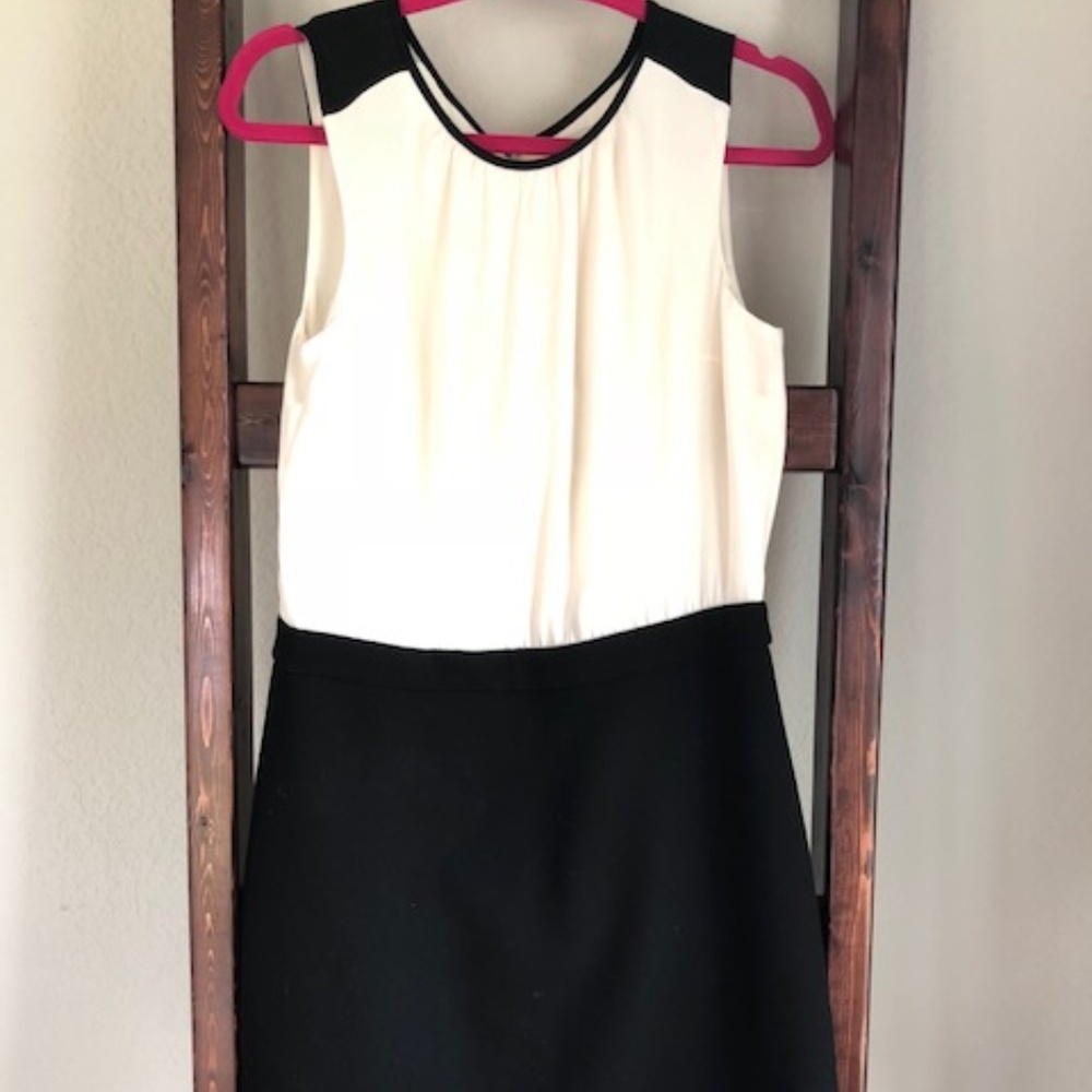 The Loft Black and White Dress